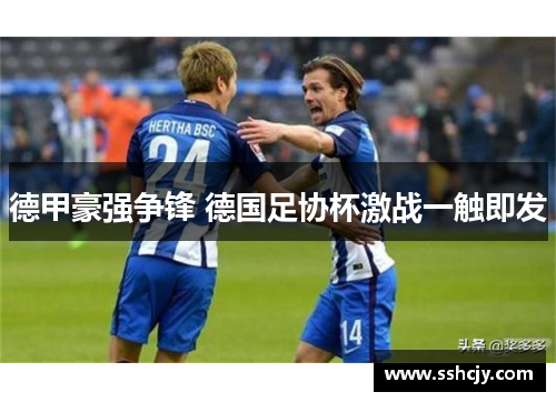 德甲豪强争锋 德国足协杯激战一触即发
