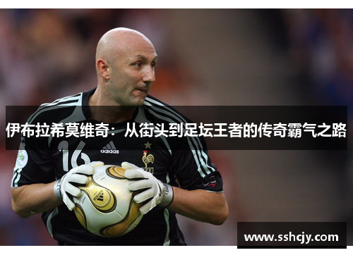 伊布拉希莫维奇：从街头到足坛王者的传奇霸气之路