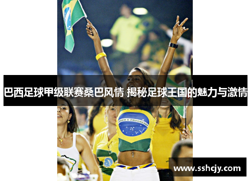 巴西足球甲级联赛桑巴风情 揭秘足球王国的魅力与激情