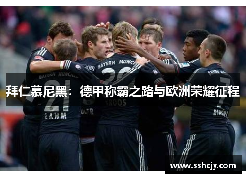 拜仁慕尼黑：德甲称霸之路与欧洲荣耀征程