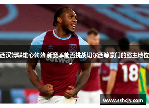 西汉姆联雄心勃勃 新赛季能否挑战切尔西等豪门的霸主地位